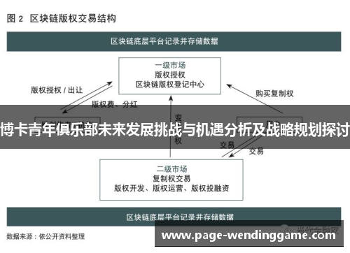 博卡青年俱乐部未来发展挑战与机遇分析及战略规划探讨