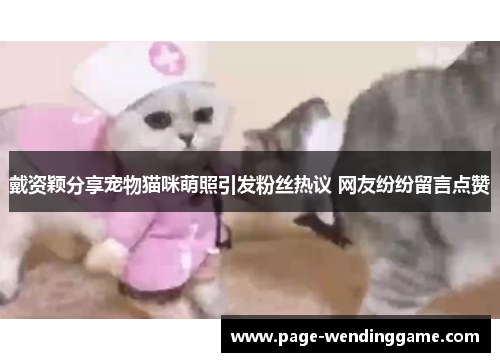 戴资颖分享宠物猫咪萌照引发粉丝热议 网友纷纷留言点赞