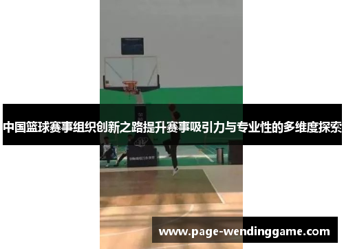 中国篮球赛事组织创新之路提升赛事吸引力与专业性的多维度探索