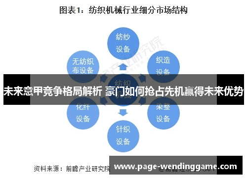 未来意甲竞争格局解析 豪门如何抢占先机赢得未来优势