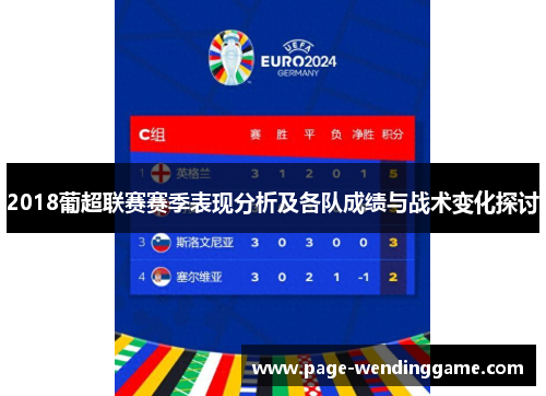 2018葡超联赛赛季表现分析及各队成绩与战术变化探讨