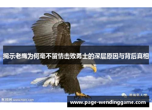 揭示老鹰为何毫不留情击败勇士的深层原因与背后真相