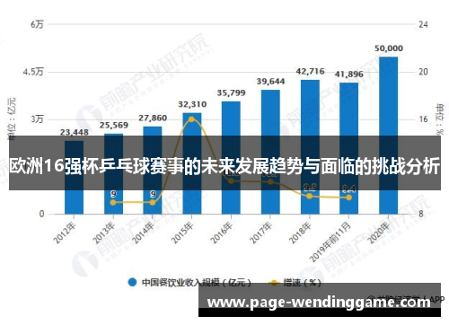 欧洲16强杯乒乓球赛事的未来发展趋势与面临的挑战分析