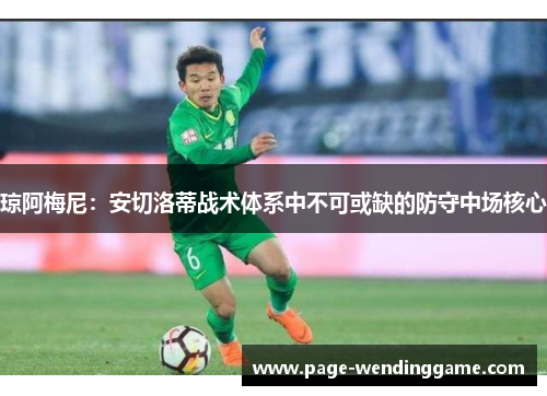 琼阿梅尼：安切洛蒂战术体系中不可或缺的防守中场核心