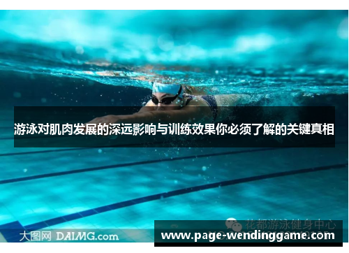 游泳对肌肉发展的深远影响与训练效果你必须了解的关键真相