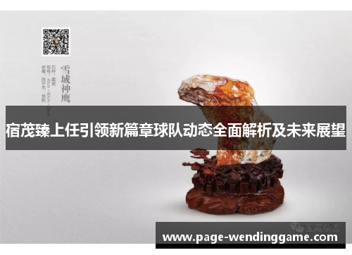 宿茂臻上任引领新篇章球队动态全面解析及未来展望
