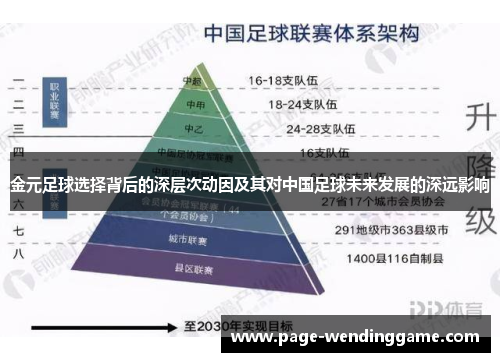 金元足球选择背后的深层次动因及其对中国足球未来发展的深远影响