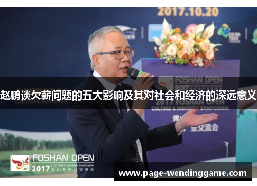 赵鹏谈欠薪问题的五大影响及其对社会和经济的深远意义