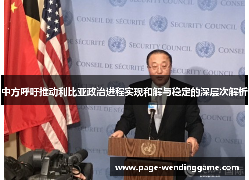 中方呼吁推动利比亚政治进程实现和解与稳定的深层次解析