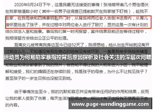 运动员为何易陷家暴指控背后原因探析及社会关注的深层次问题