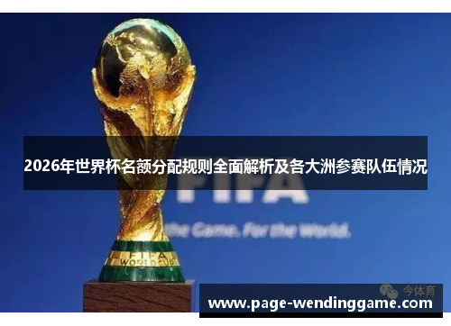 2026年世界杯名额分配规则全面解析及各大洲参赛队伍情况