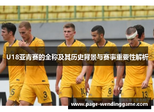 U18亚青赛的全称及其历史背景与赛事重要性解析