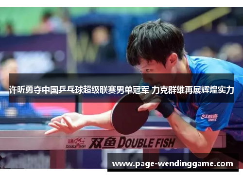 许昕勇夺中国乒乓球超级联赛男单冠军 力克群雄再展辉煌实力 许昕勇夺中国乒乓球超级联赛男单冠军 力克群雄再展辉煌实力