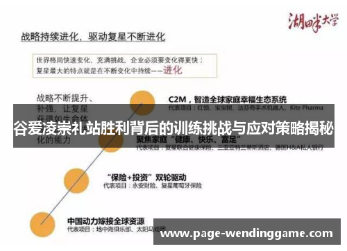 谷爱凌崇礼站胜利背后的训练挑战与应对策略揭秘