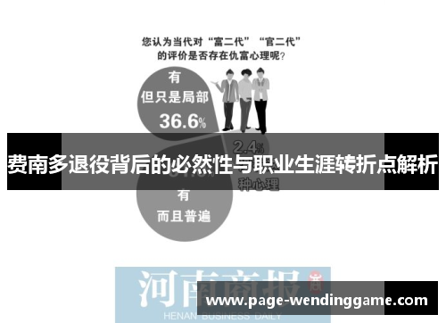 费南多退役背后的必然性与职业生涯转折点解析