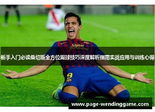 新手入门必读桑切斯全方位踢球技巧深度解析指南实战应用与训练心得