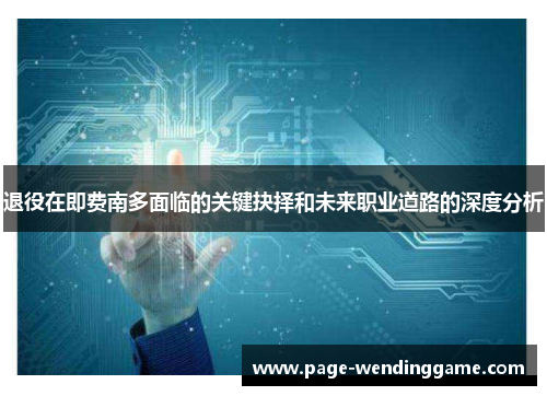 退役在即费南多面临的关键抉择和未来职业道路的深度分析