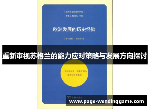 重新审视苏格兰的能力应对策略与发展方向探讨