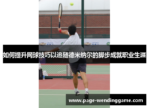 如何提升网球技巧以追随德米纳尔的脚步成就职业生涯