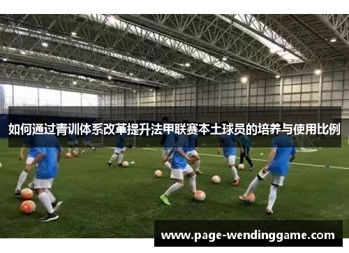 如何通过青训体系改革提升法甲联赛本土球员的培养与使用比例