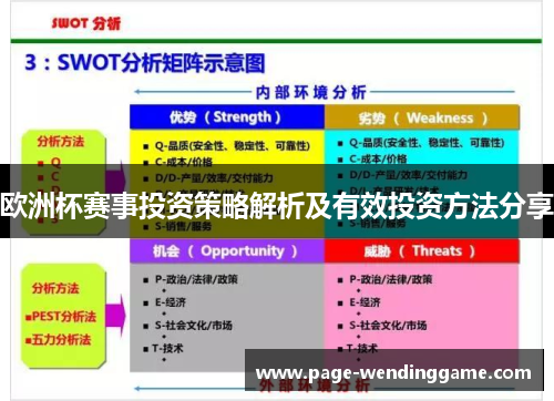欧洲杯赛事投资策略解析及有效投资方法分享
