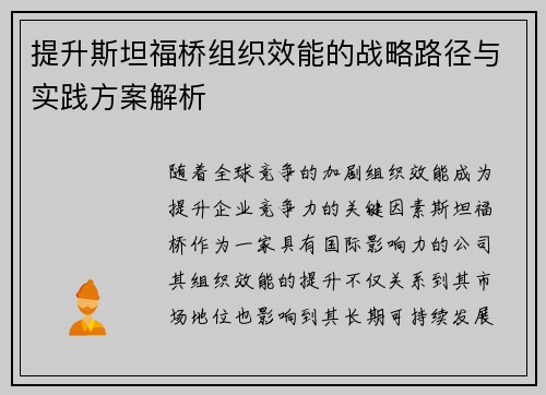 提升斯坦福桥组织效能的战略路径与实践方案解析